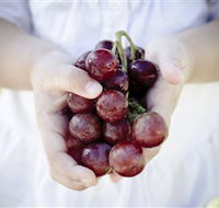 Granitevale  Estate Winery - Accommodation Mt Buller