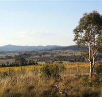 Yarrh Wines - Accommodation Mt Buller