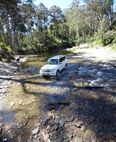 Aberfeldy Four Wheel Drive Track - Accommodation Mt Buller 1