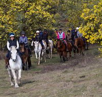 Burnelee Excursions on Horseback - Accommodation Mt Buller