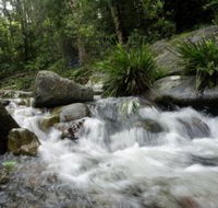 Washpool National Park - Accommodation Mt Buller
