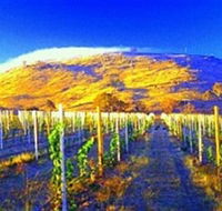 Surveyors Hill Winery - Accommodation Mt Buller