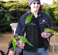 Canberra Walk In Aviary - Accommodation Mt Buller