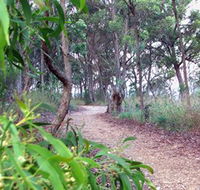 Mount Mutton Walking Trail - Accommodation Mt Buller