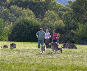 Tidbinbilla - Accommodation Mt Buller 1