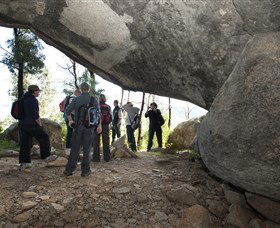 Tidbinbilla - Accommodation Mt Buller 4