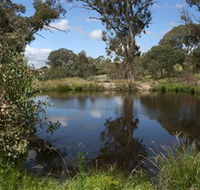 Cooleman Ridge - Accommodation Mt Buller