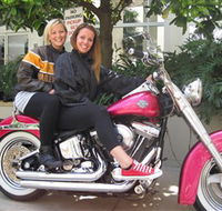 Wild Ride Harley and Motorcycle Tours - Accommodation Mt Buller