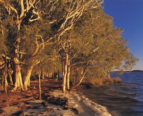 East Coast Adventure Bus - Accommodation Mt Buller 2