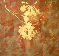 Fellia Melas Gallery - Accommodation Mt Buller