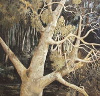 Ku-Ring-Gai Art Centre  Gallery - Accommodation Mt Buller