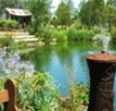 Gone Walkabout Safaris - Accommodation Mt Buller