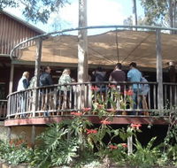 Hunter Vineyard Tours - Accommodation Mt Buller