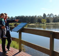 Hunter Wetlands Centre Australia - Accommodation Mt Buller
