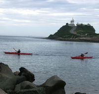 Newcastle Kayak Tours - Accommodation Mt Buller