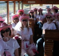 Newcastles Famous Tram - Accommodation Mt Buller