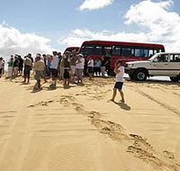 Port Stephens 4WD Tours - Accommodation Mt Buller