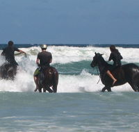 Pegasus Park Equestrian Centre - Accommodation Mt Buller
