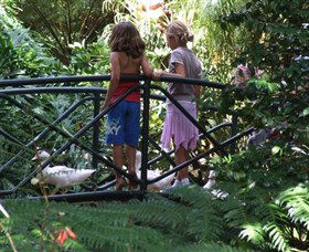 EG Waterhouse National Camellia Garden - Accommodation Mt Buller 0