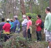 Boronia Tours - Accommodation Mt Buller