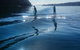 Avalon Stand Up Paddle - thumb 2