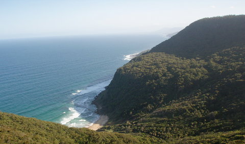 Palm Jungle Loop Track - Accommodation Mt Buller 1