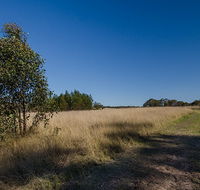 Scheyville horse riding trails - Accommodation Mt Buller