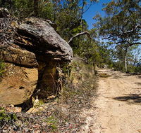Canoelands Ridge walking track - Accommodation Mt Buller