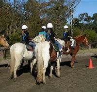 Darkes Forest Riding Ranch - Accommodation Mt Buller