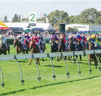 Morphettville Racecourse - Accommodation Mt Buller