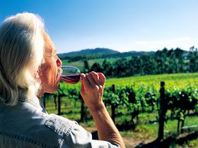 Ashton Hills Vineyard - Accommodation Mt Buller 0