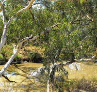 Quilberry Creek Fishing - Accommodation Mt Buller
