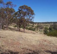 Onkaparinga River National Park - Accommodation Mt Buller