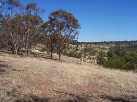 Onkaparinga River National Park - Accommodation Mt Buller 0