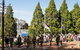 Macclesfield ANZAC Memorial Gardens - thumb 3
