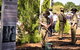 Macclesfield ANZAC Memorial Gardens - thumb 0