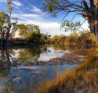Murray River National Park - Accommodation Mt Buller