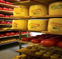 Alexandrina Cheese Company - Accommodation Mt Buller