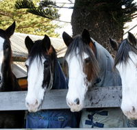 Victor Harbor Horse Drawn Tramway - Accommodation Mt Buller