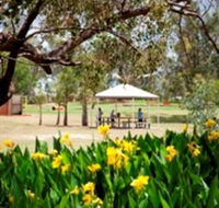 Charleville - Graham Andrews Parklands - Accommodation Mt Buller