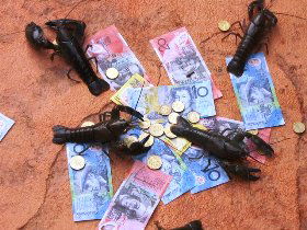 BAILEY BAR CARAVAN PARK - Accommodation Mt Buller 2