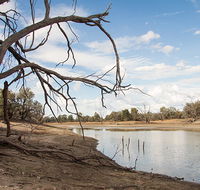 Toorale National Park