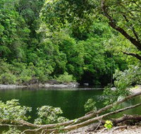 Broadwater Abergowrie State Forest - Accommodation Mt Buller