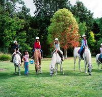 Limestone Coast Horseriding - Accommodation Mt Buller