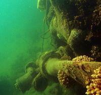 Wreck Diving at Magnetic Island - Accommodation Mt Buller