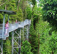 Mamu Tropical Skywalk - Accommodation Mt Buller