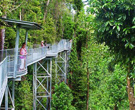 Mamu Tropical Skywalk - Accommodation Mt Buller 0