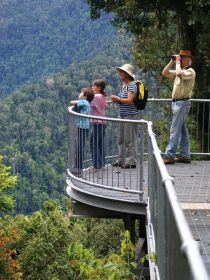 Mamu Tropical Skywalk - Accommodation Mt Buller 2