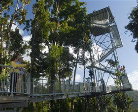 Mamu Tropical Skywalk - Accommodation Mt Buller 1