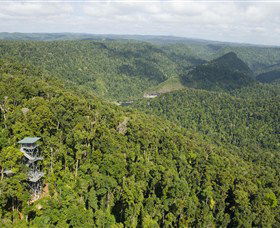 Mamu Tropical Skywalk - Accommodation Mt Buller 3